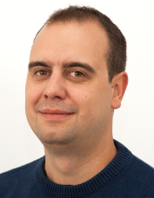 Mitko Veleski