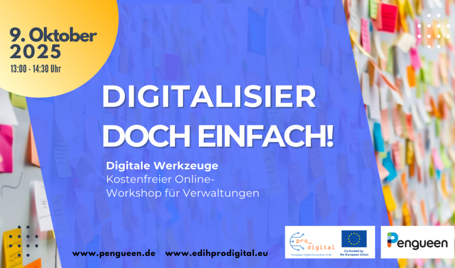 Kennen Sie das: Alle sprechen über die Digitalisierung, als wäre es easy und Alltag! Die scheinbar grenzenlosen Vorteile, die Erleichterungen in den Prozessen, die Notwendigkeit vor dem Hintergrund des demographischen Wandels und viele weitere Vorteile werden aufgezählt und beworben. Sie sind davon motiviert und interessiert, haben bereits erste Ideen für digitale Unternehmungen und dann ist da die Realität: Ausschreibungen, Budgetplanungen, Fragen des Datenschutzes, Zuständigkeiten, einfach irre viel Bürok
