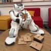 NAO-Lernroboter